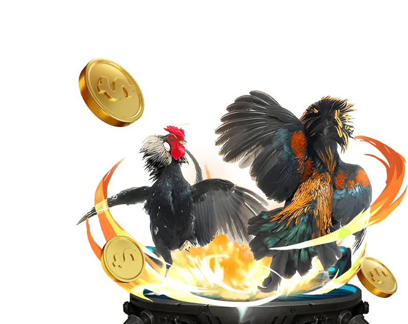 Cập nhật giải đấu thể thao mới nhất